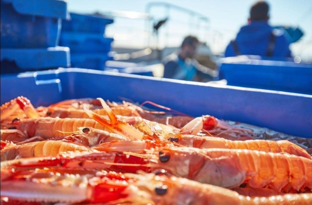 Global Immo 3330 Royal Marina I Tramuntana 4-10 Lägenhet Rosas Exteriör bild